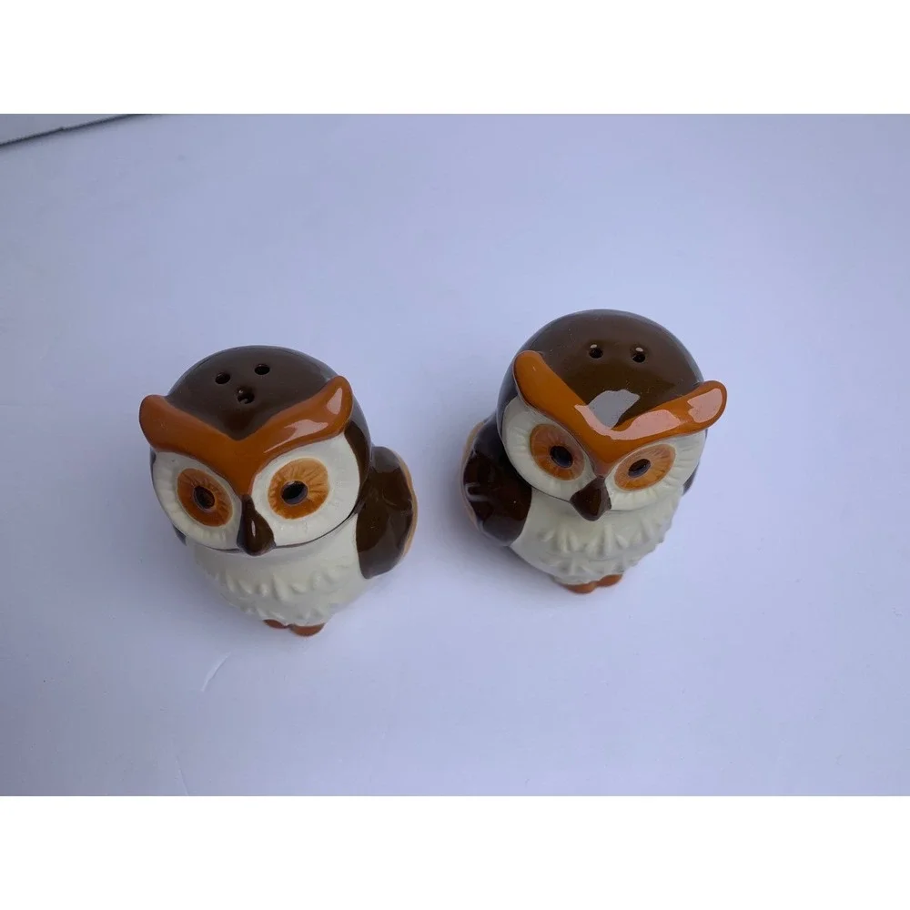 Vintage Ceramic Owl Salt and Pepper‎ Shakers Retro Bohemian Hand Painted Set
